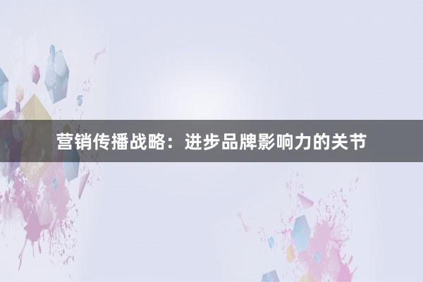 营销传播战略：进步品牌影响力的关节